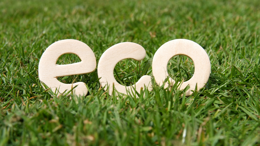 An Introduction to Omnimed's Eco Supply Chain Assistant, Ben Lonsdale