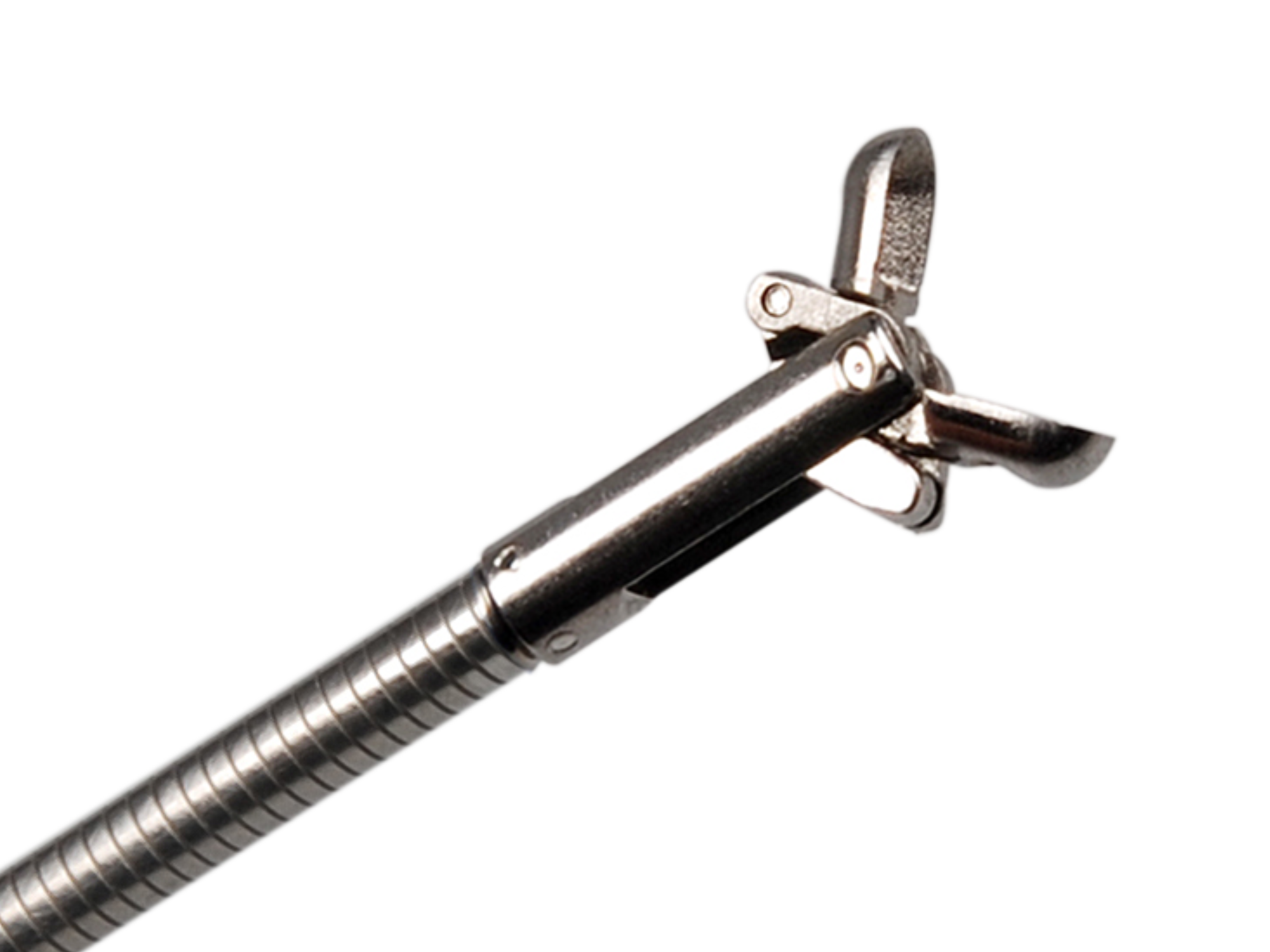 GI Endoscopic Accessories Compatible with All Major Endoscope Systems ...