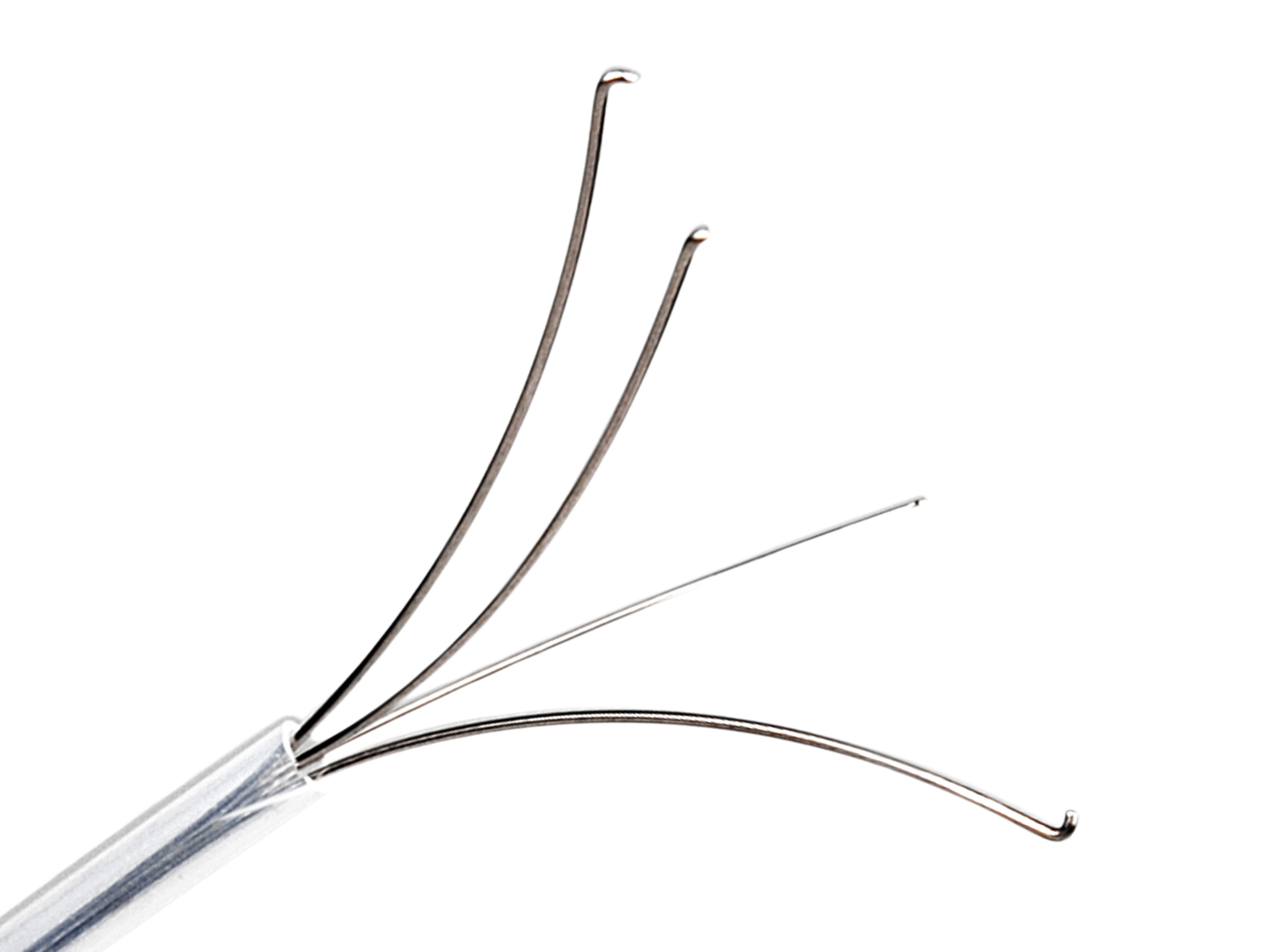 Forceps Body Foreign Body Removal Grasping Forceps – Disposable & Reusable ...