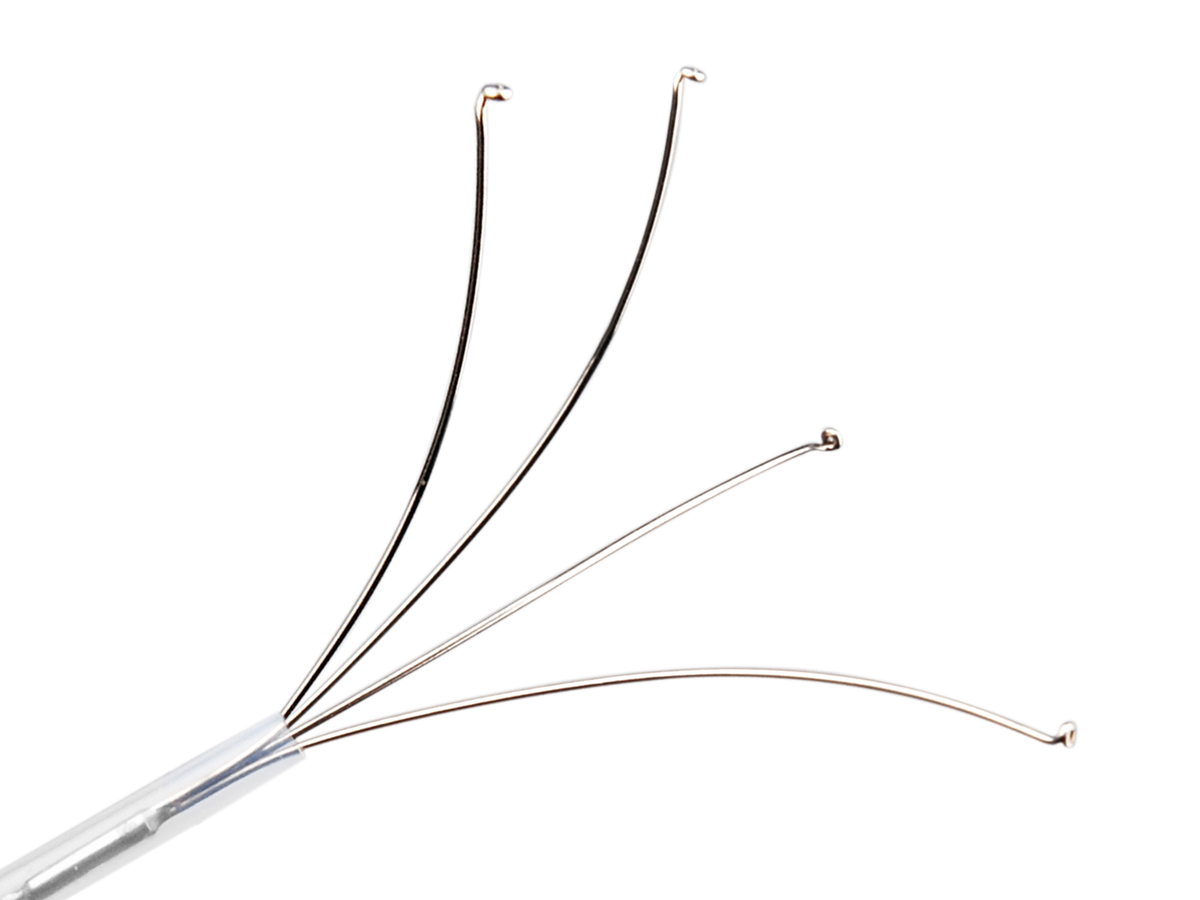 Forceps Body 4-Prong Foreign Body Removal Grasping Forceps for Colonoscopy – Precise ...