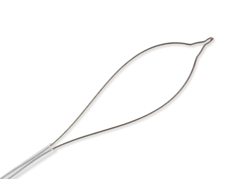 Polypectomy Snares – Oval